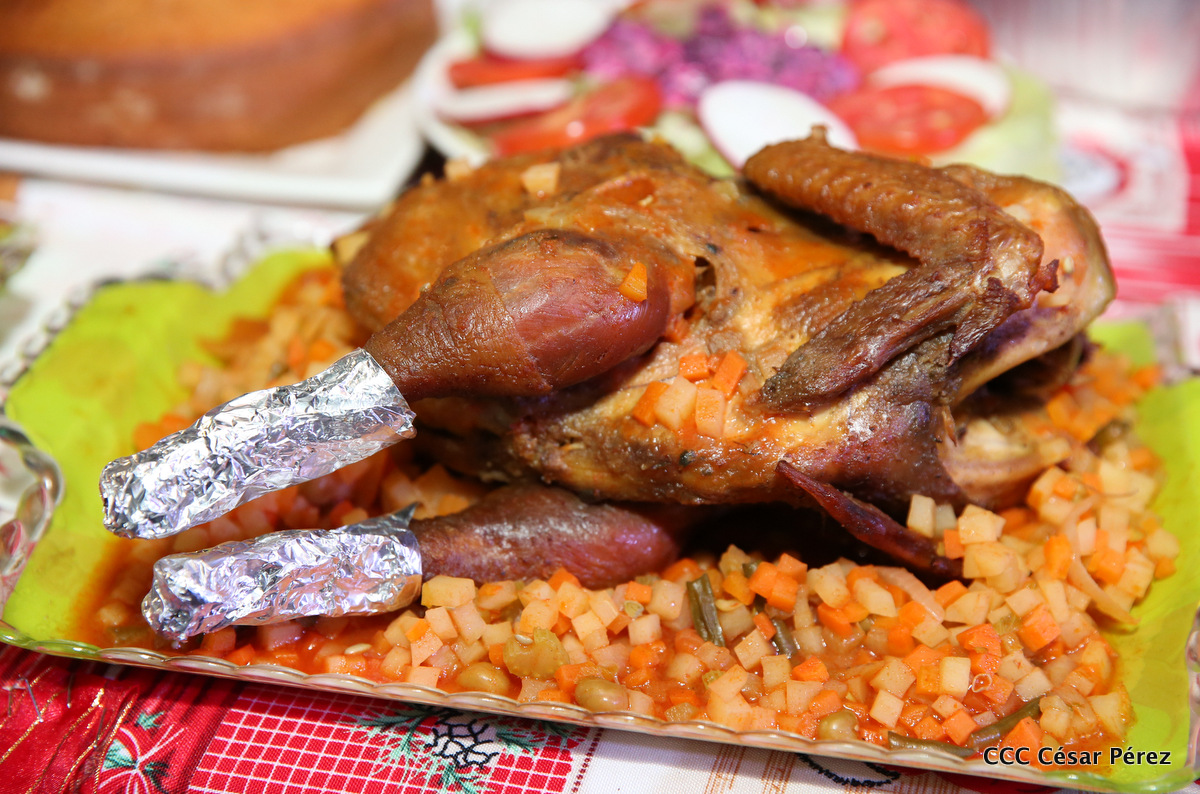 GALLINA1